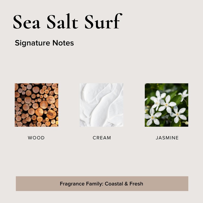 Sea Salt Surf Car Air Freshener, 4 Pack