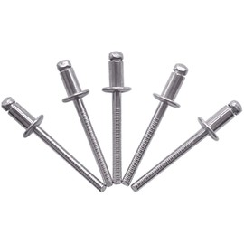 (Pack of 100) Stainless Steel Blind Rivets 4.8 x 10 mm Dome Head Pop Rivets DIN 7337 A2 Rivet Slot Mandrel (100, 4.8 x 10 mm)
