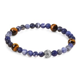 COAI Men's Crystal Bracelet with Natural Stone Beads and Stainless Steel Longevity Beads, Stone, Sodalite Tiger's Eye