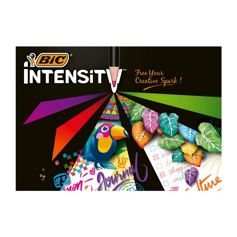 Bic Japan ITS-DUTCMPK12 Coloring Pencil, Adult Coloring, Soft, Vibrant Intensity