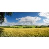 Yeele 20x10ft Vinyl Countryside Farm Field Backdrop for Photography Wheat