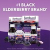 Sambucol Black Elderberry Syrup - Sambucus Syrup, Black Elderberry Liquid,