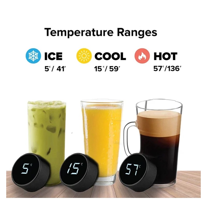 Leeseph Stainless Steel Smart Water Bottle, Double Walled, LCD Temperature