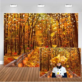 CHAIYA 7x5ft Fall Thanksgiving Photography Backdrop Autumn Maple Leaves Path Pumpkin Friendsgiving Background Thanksgiving Party Supplies Thanksgiving Farm Harvest Banner CY-288