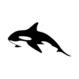 Killer Whale Decal Sticker, Die Cut Vinyl Decal for Windows, Cars, Trucks, Tool Boxes, laptops, MacBook - virtually Any Hard, Smooth Surface