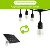 Visther Low Voltage Solar String Light Bulbs Replacement, DC 3V