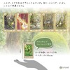Fairy Tale Lenormand Renolman Fairy Tale Lenormand Lunolman Card Divination,