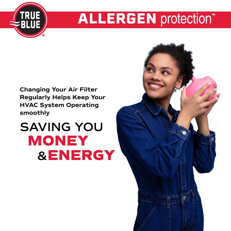True Blue Allergen 16x20x1 Air Filter , MERV 11, 4