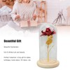 Rose in Glass Dome Lucky Beautiful Symbolism Romantic Enchanted Rose