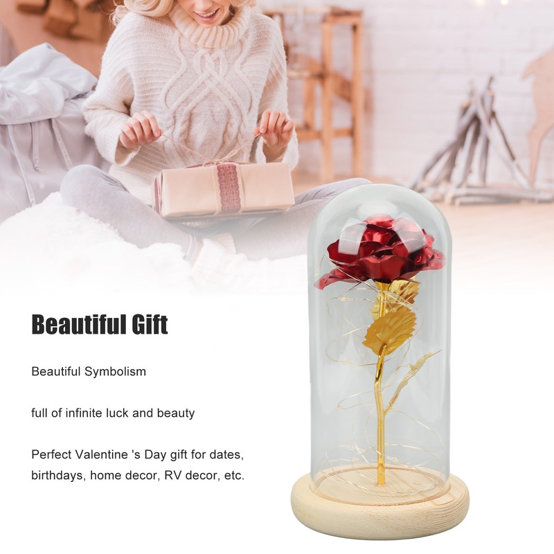 Rose in Glass Dome Lucky Beautiful Symbolism Romantic Enchanted Rose
