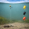 EUROKAN TACKLE Zig Rigs Made to Order - Zig Rigs