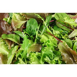 Viridis Hortus - Lettuce BabyLeaf Mesclun Mix - 5,000 (4.92g's) - A Blend of Salad Leaf Mix Lettuce Seeds