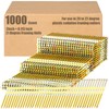Pasimy 1000 Per Box Framing Nails 21 EG Degree Smooth