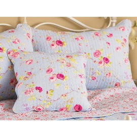 Riva Paoletti Honeypotlane Blue Pillow Shams, Singles, Cotton