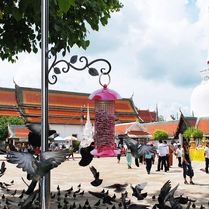 4Pcs Wall-mounted Iron Hooks Plant Holder Decorative Hook for Bird