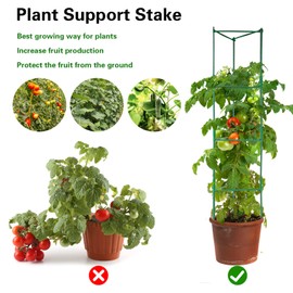 2Pack 63Inch Tomato Cages Plant Support Cages for Tomato, Climbing Plants Garden Plant Support Trellis with 15Pcs Twist Tie for Vertical Climbing Plant Stakes