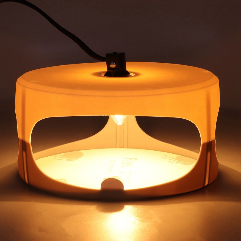 Sticky Dome Flea Capture Trap Bug Trap with 2 Glue