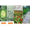 More Sizes Fine mesh Vegetable Protection Net Butterfly for Plant