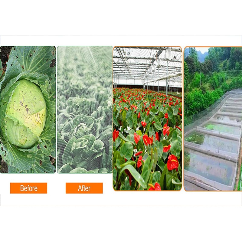 More Sizes Fine mesh Vegetable Protection Net Butterfly for Plant