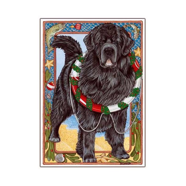 Newfoundland Christmas Cards : 10 Holiday Cards with Red Envelopes - Adorable!