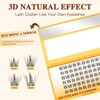 QUEWEL Lash Clusters 60Pcs Eyelash Clusters 12mm 3D DIY Lash