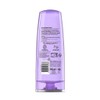 L'Oreal Elvive Hyaluron Plump Conditioner 300ml