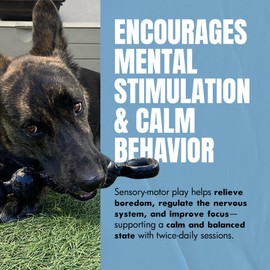 Calmr Dog Vigor Interactive Dog Toy – Weighted & Flexible for Active Play – Natural Rubber, Chew-Resistant & Durable – Available in 24 oz (1.5 lb) for Retrieving, Shake & Sensory Stimulation