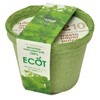 Ecot Planting Kit and Pot