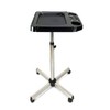 ZERNEIL Salon Tray Cart with Storage Platform, Tattoo Tray with