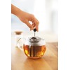 Bodum Assam Tea Press with Stainless Steel Filter, 17-Ounce