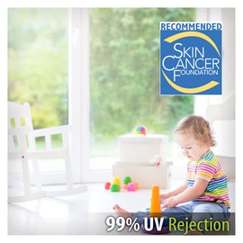 BDF S2M Window Film Clear UV Blocking - 24in X 12ft