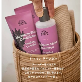 Urtekram Shampoo - Soothing Lavender - Maximum Shine - 250 ml, Vegan, Organic, Natural Origin