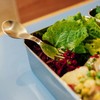 Elephant Box Stainless Steel Spork | Reusable Camping Cutlery |