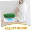 ORFOFE Soilless Hydroponic Cat Grass Planter Box Easy to Use