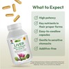 ANDREW LESSMAN Liver Anti-Oxidant Extracts 240 Capsules - Supports The