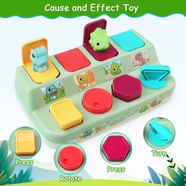 BelleStyle Pop Up Baby Toy from 12 Months, Montessori Toy for 1 Year Children, Early Development Cause and Effect Toy Baby Gift 6 12 18 Months Boys Girls