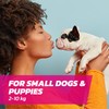 Naqua Ltd Dog Flea Treatment Small Dog x 6 -