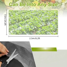 Garden Netting 8x24Ft, Plant Covers, Barrier Mesh for Plant Vegetables Fruit Row Cover Raised Bed Protection Net, Bird Screencolor: White, size: 2.5*7.5m, Weight: 380g