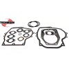 TECUMSEH 10 HP REBUILD KIT HMSK100 HM100 PISTON RINGS 35779, GASKET SET 36452B