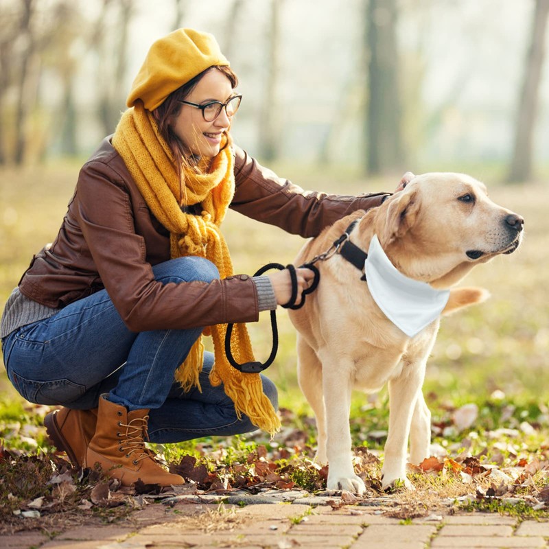 URROMA 4 Pack White Triangle Dog Bandana Collar with Adjustable