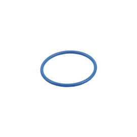 GM Genuine Parts 12645181 Fuel Pump Housing O-Ring Seal