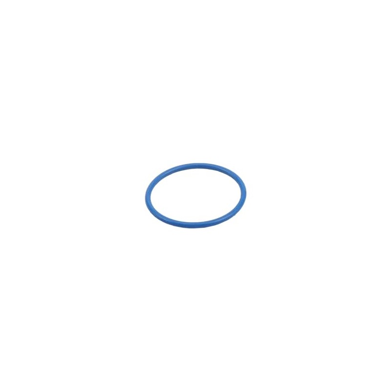 GM Genuine Parts 12645181 Fuel Pump Housing O-Ring Seal