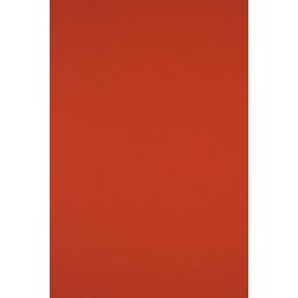 Netuno Sirio Colour Vermiglione A4 Coloured Cardboard, DIN A4, 210 x 297 mm, 170 g, Pack of 20, Vermiglione Craft Cardboard, A4, Fine Cardboard, Natural Cardboard for Wedding, Birthday, Christening,
