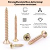 Screws Set, 360 Pieces Wood Screws, Self-Tapping Screws with Countersunk