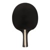 REGAIL Ping Pong Paddle Set Portable Table Tennis Set With