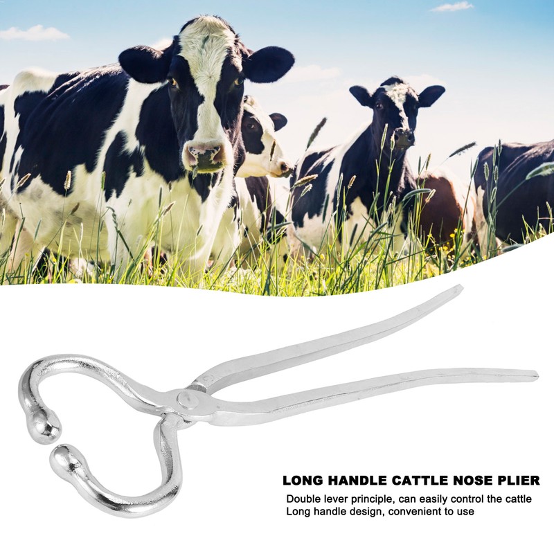 Long Handle Cattle Nasal Forceps Clip Nose Pliers Livestock Cow