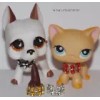 Littlest Pet Shop clothes LPS accessories 4 custom collars PETS