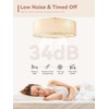 YMKSKJ Low Profile Ceiling Fans with Lights, 20" Boho Rattan