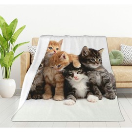 HGOD DESIGNS Cats Throw Blanket Ultra Soft Warm All Season Kittens Family Cats Decorative Fleece Blankets for Bed Chair Car Sofa Couch Bedroom 40"X50"