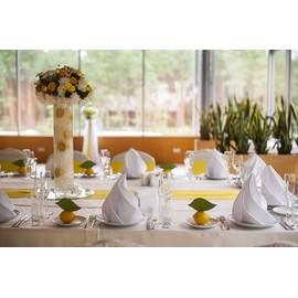 Textile Do 100% Egyptian Cotton White Napkins For Hotel Party wedding Linene Serviette (250 TC -Pack of 12 to 200) Tableware Cloth Napkins (12, White)